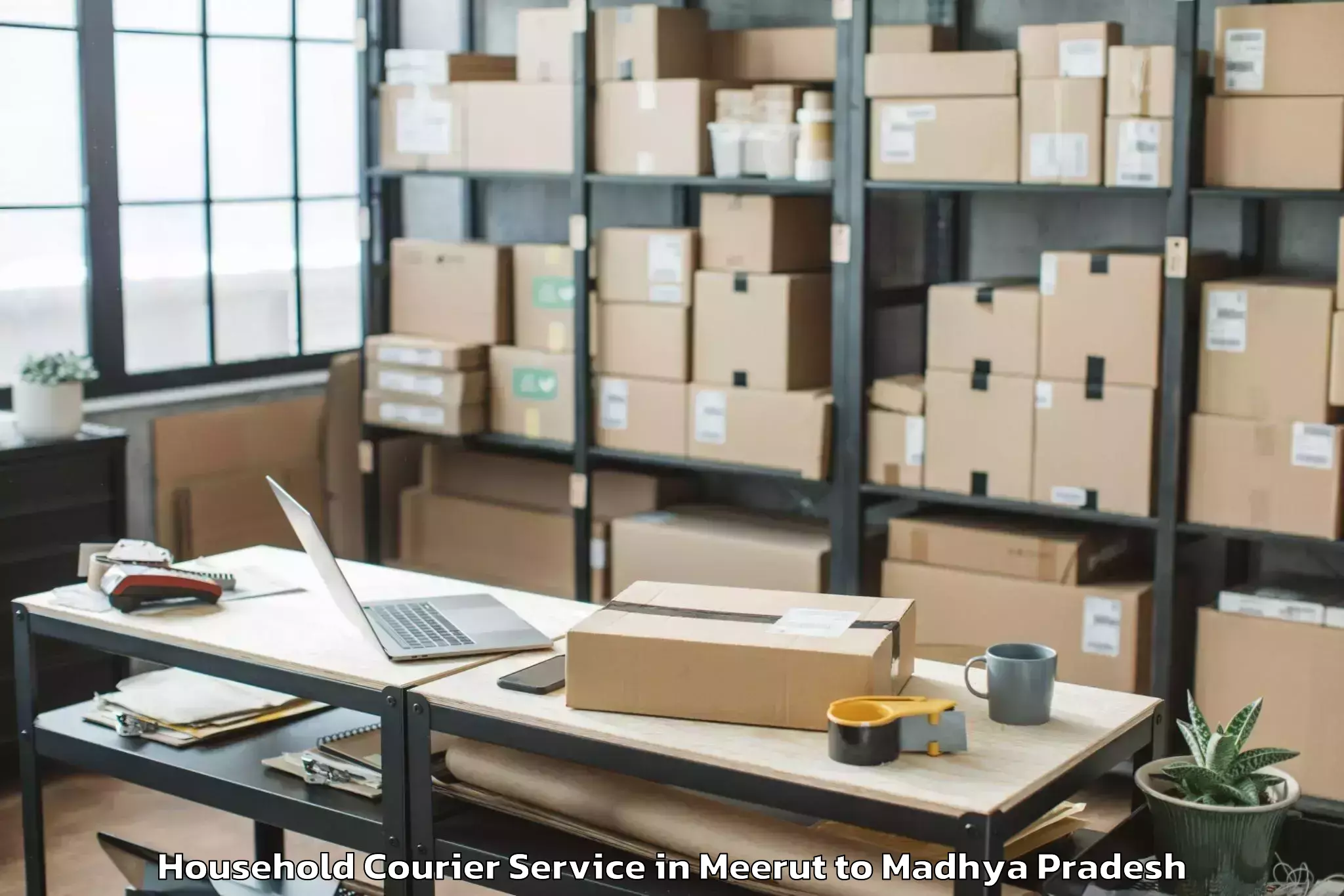 Top Meerut to Tarana Ujjain Household Courier Available